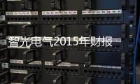 智光电气2015年财报分析：节能服务为企业找到新出路