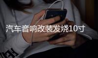 汽车音响改装发烧10寸12寸双音圈重低音纯低音车载无源低音炮喇叭