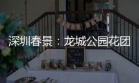 深圳春景：龙城公园花团锦簇 一片生机勃勃