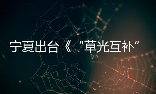 宁夏出台《“草光互补”“林光互补”光伏发电项目生态环境监督办法（试行）》